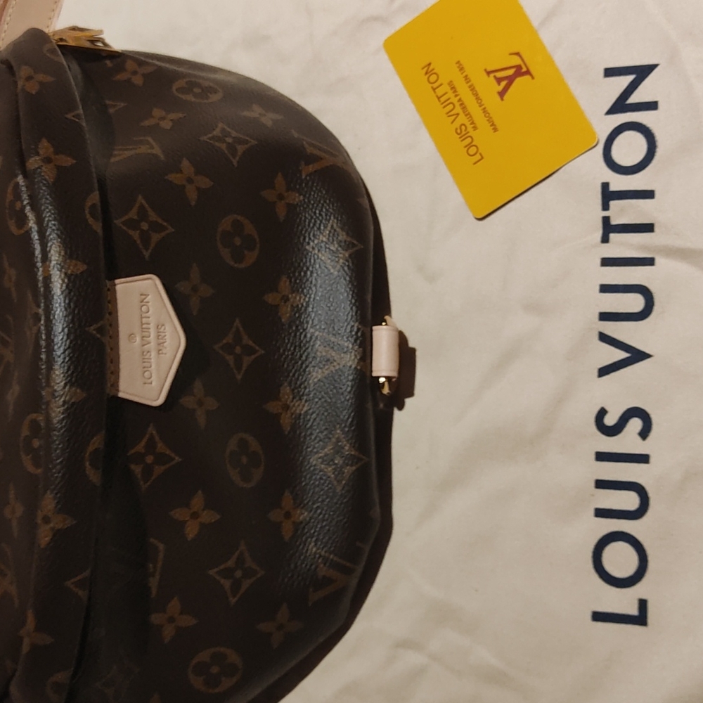 Lv bum bag